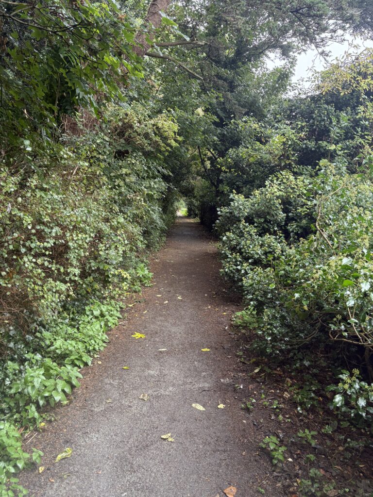 The bridleway connecting Shottfield with the village centre.