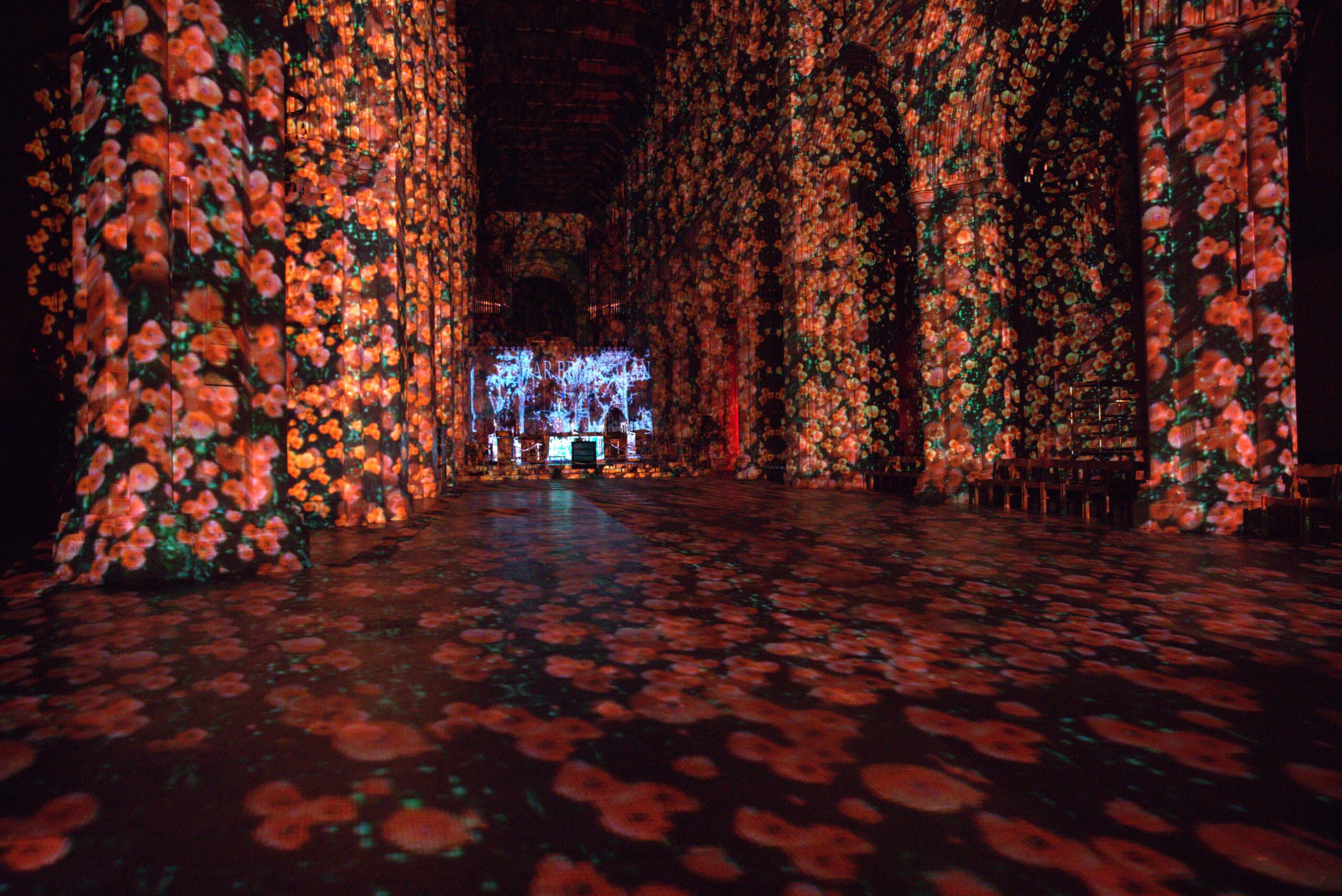 Poppy Fields in The Nave at St Albans Cathedral.