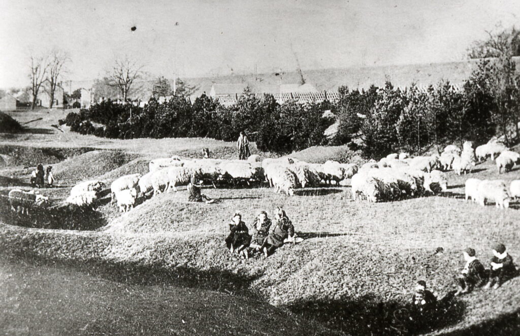 Sheep and children in the Dells