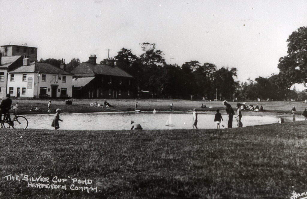 Silver Cup and pond