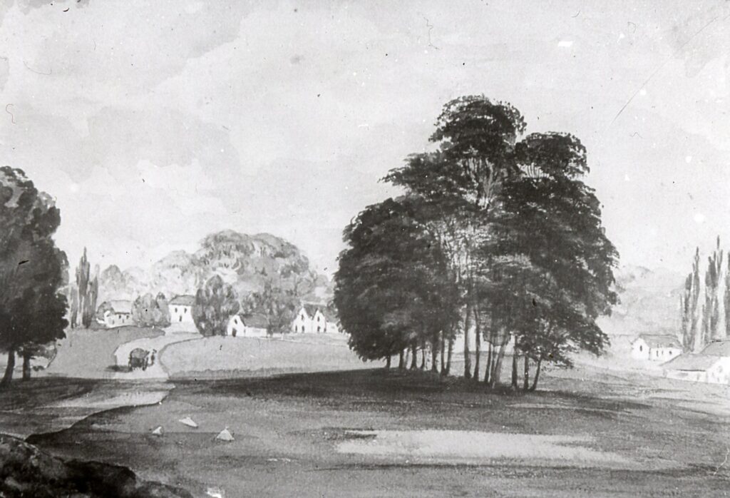 Baa Lamb trees c 1860