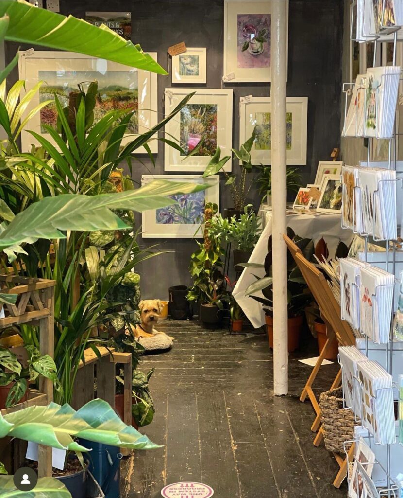 Cositas on Holywell Hill