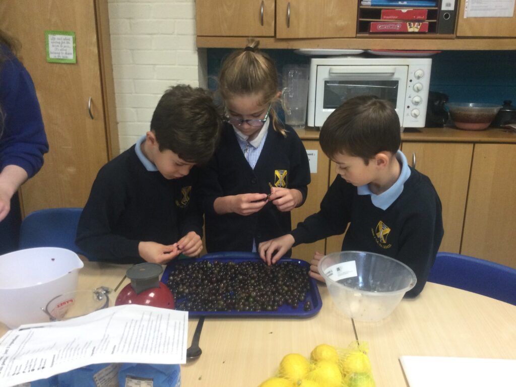 Making jam at The Abbey CE VA Primary School using grapes harvested on the school grounds.