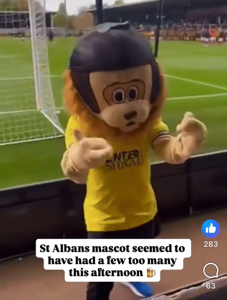 Screengrab from the video of Sammy the Saint