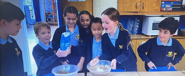Making jam at The Abbey CE VA Primary School using grapes harvested on the school grounds.