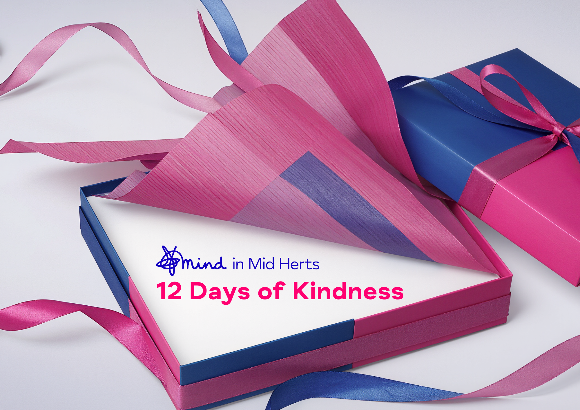 12 Days of Kindness