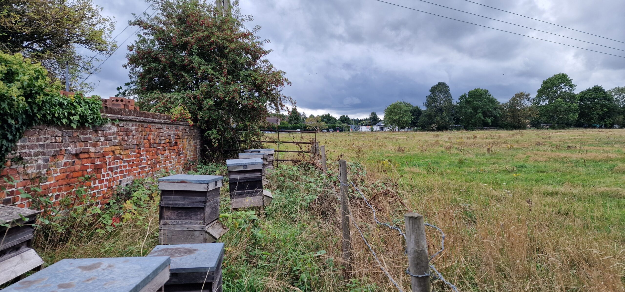 The Green Man field in Sandridge.