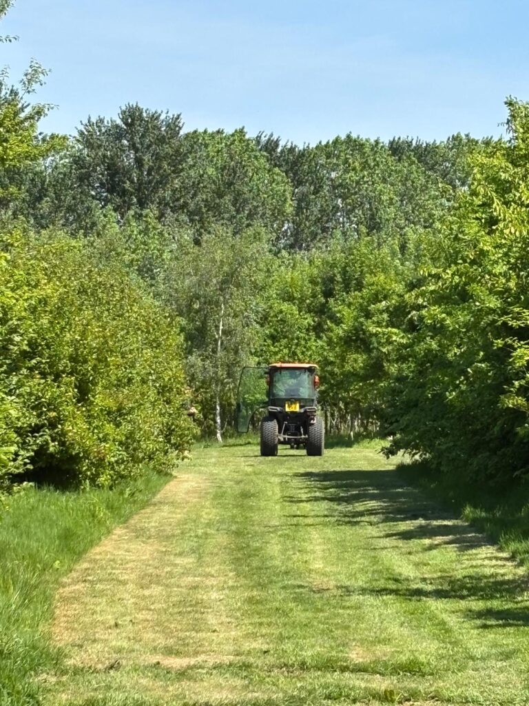 Hither Wood with tractor