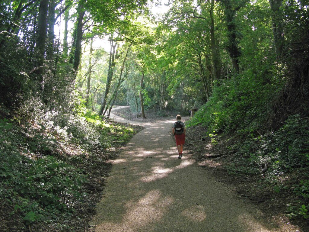 The Nickey Line by Ambrose Lane