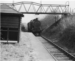 A train approaching Roundwood halt in 1955