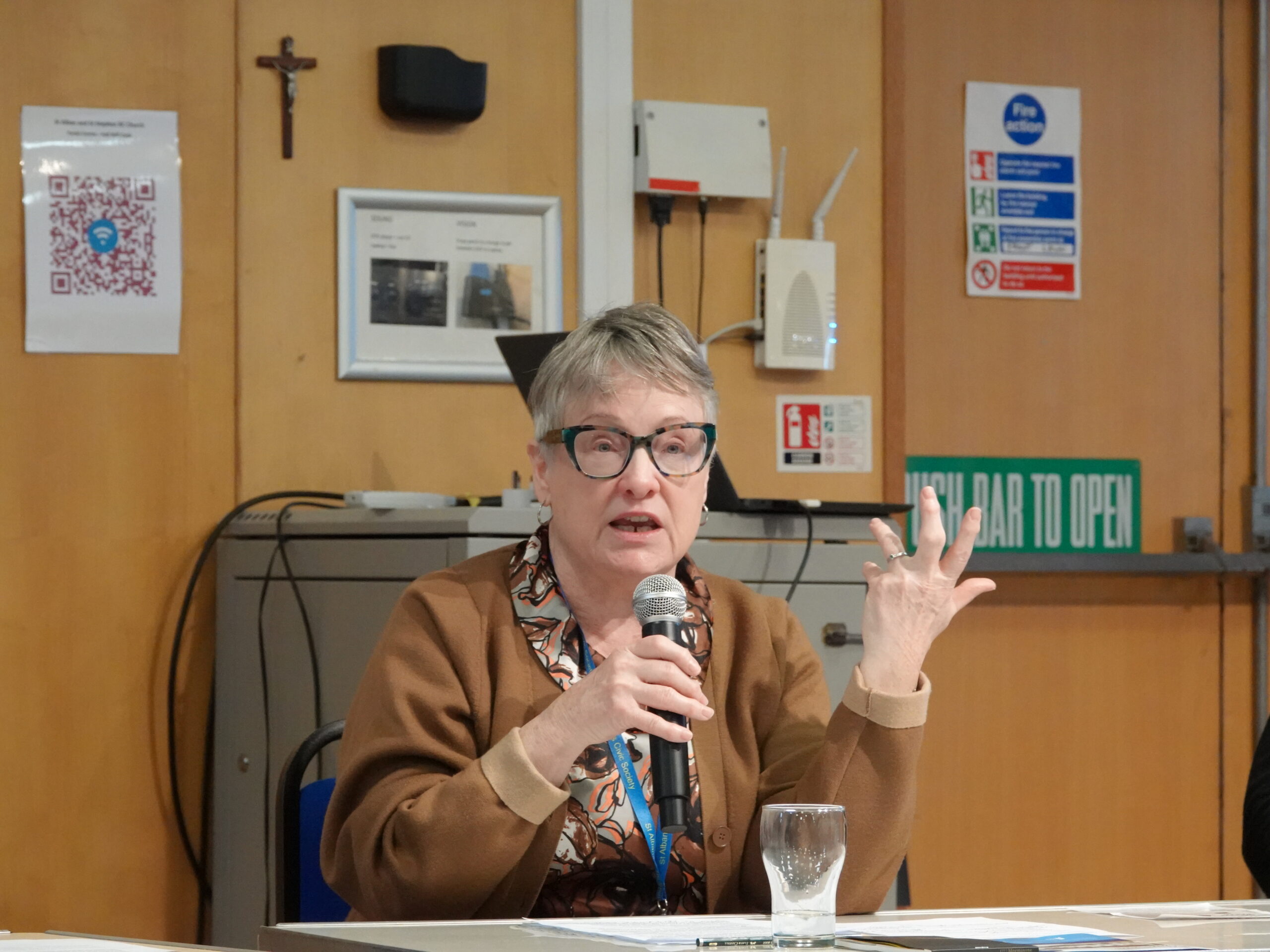 Civic Society chair Mary Conneely.