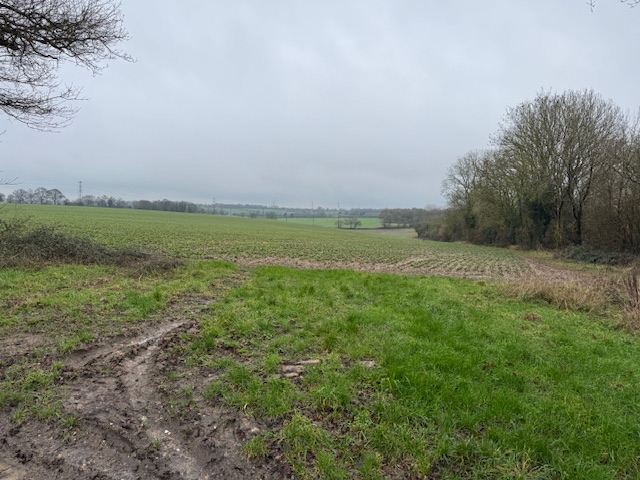 Redbourn Green Belt is at risk from housing developments.