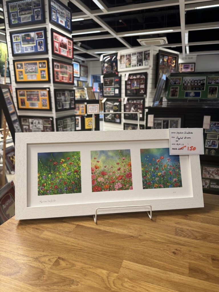 Vache Bleue Galleries