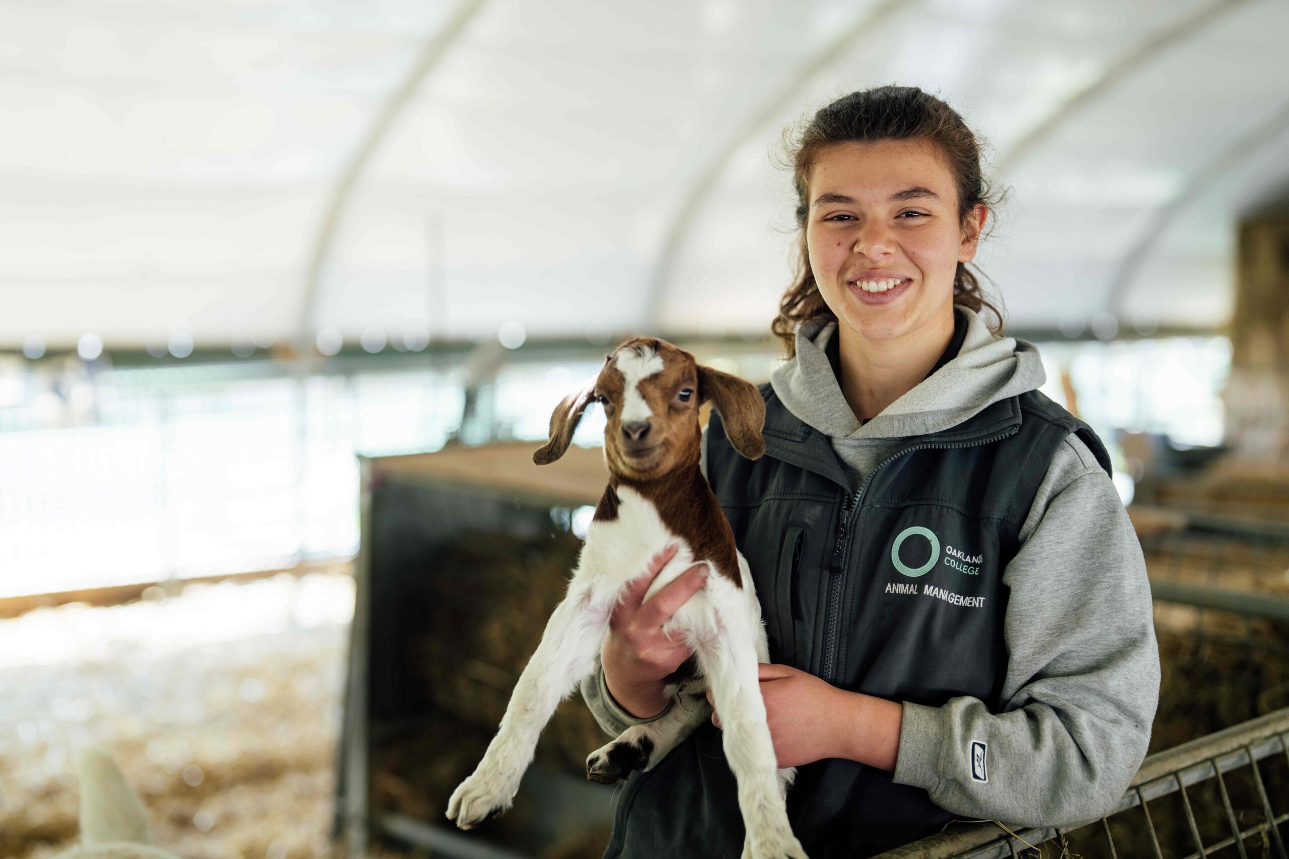 Oaklands College lambing weekend