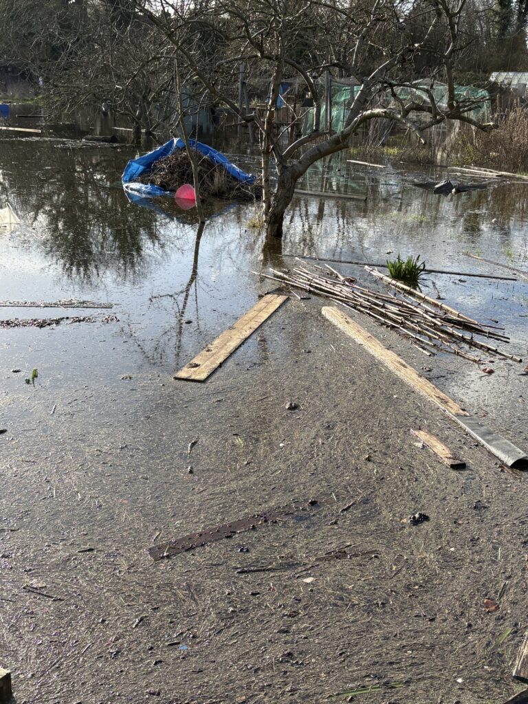 Flooding at Cottonmill allotments
