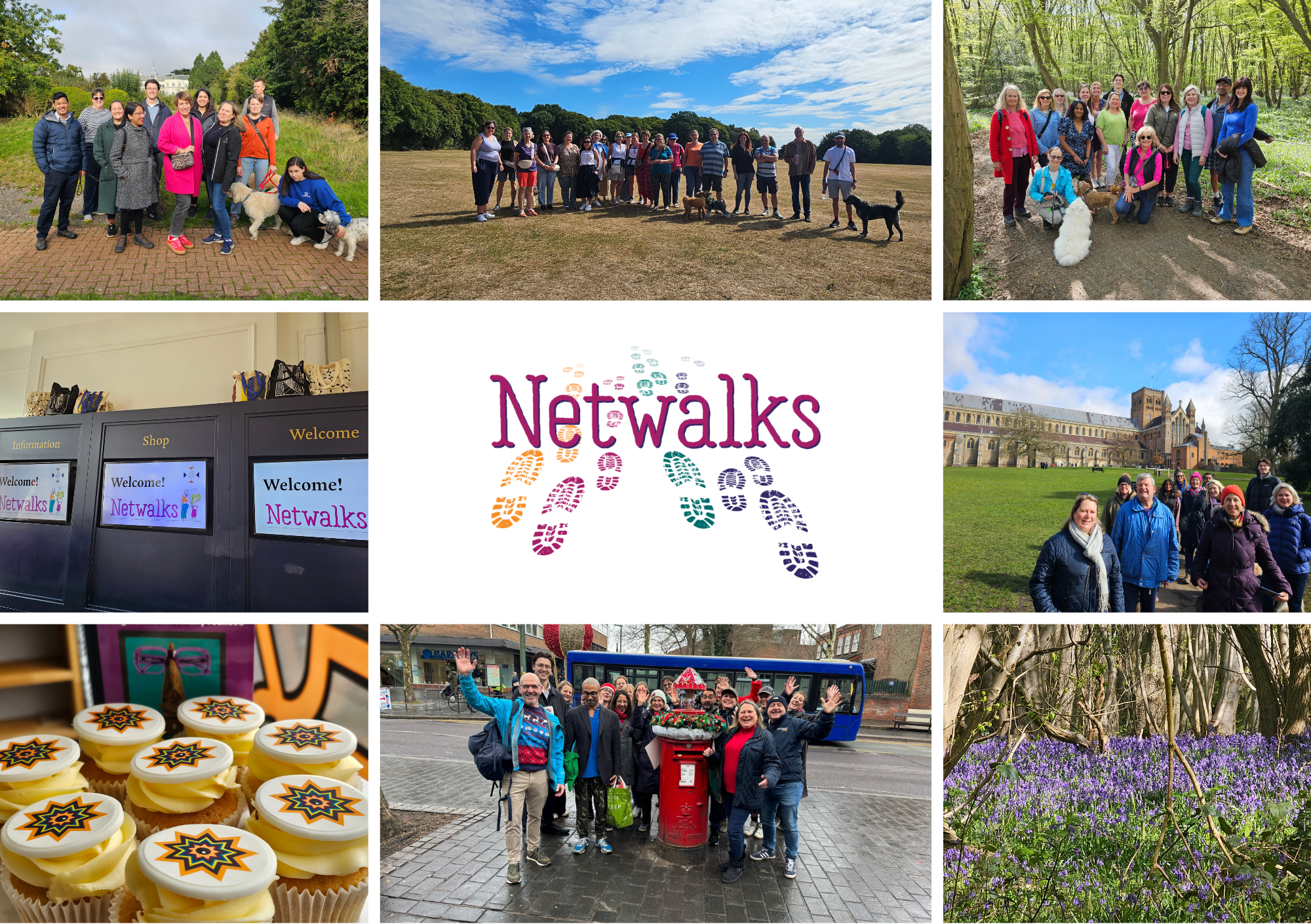 St Albans Netwalks