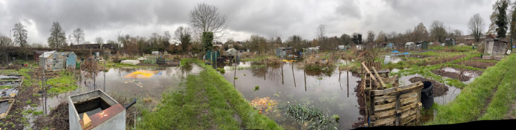 Flooding at Cottonmill allotments