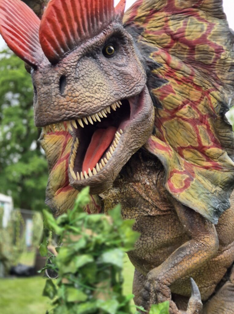 The new Dilophosaurus