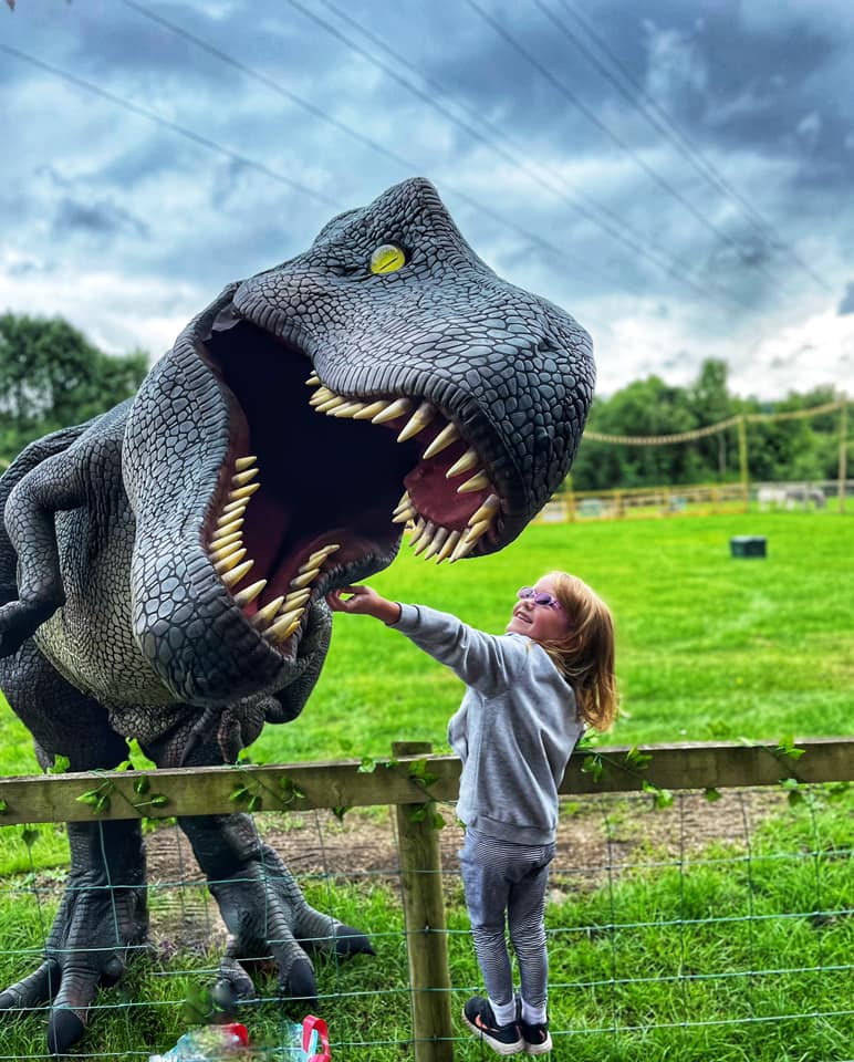 T Rex at Willows Farm.