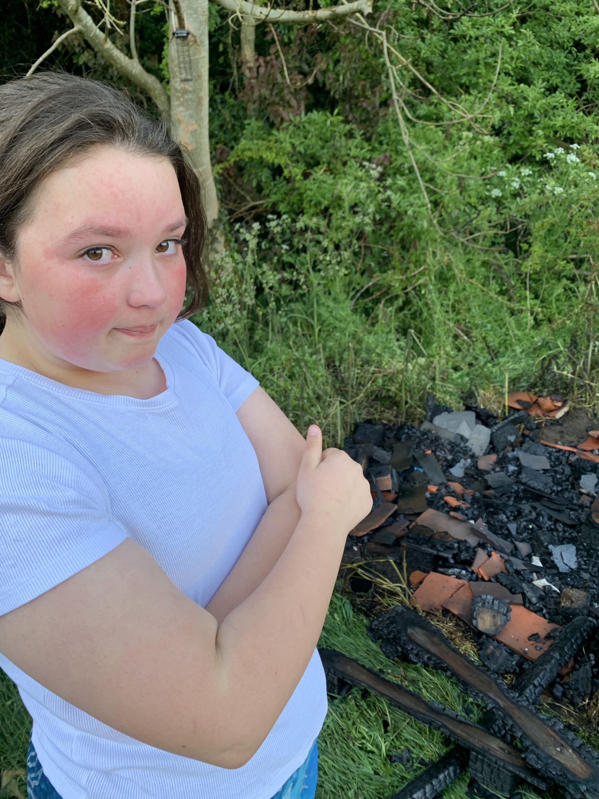 The Sopwell Community Garden bug hotel has been destroyed by vandals.