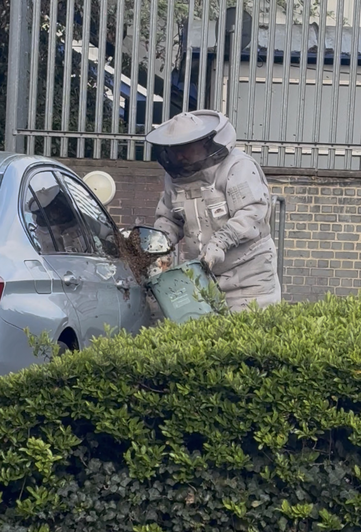 A beekeeper tackles the swarm.