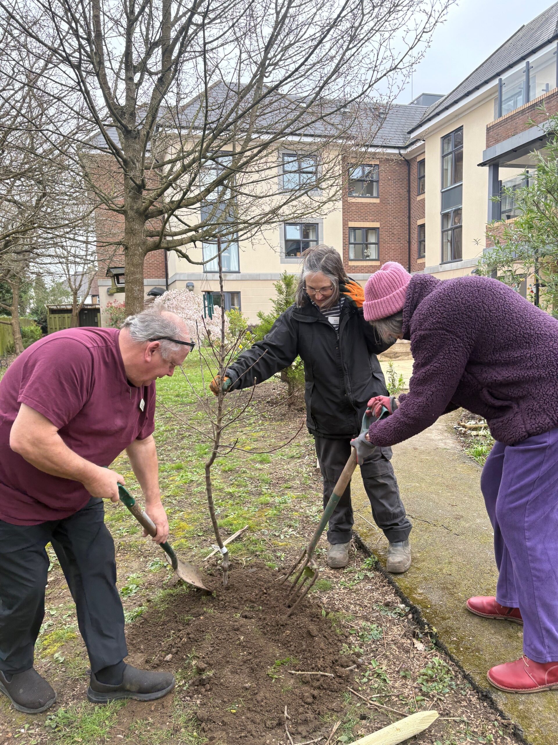 Nicky, Jean and Steve planting the trees