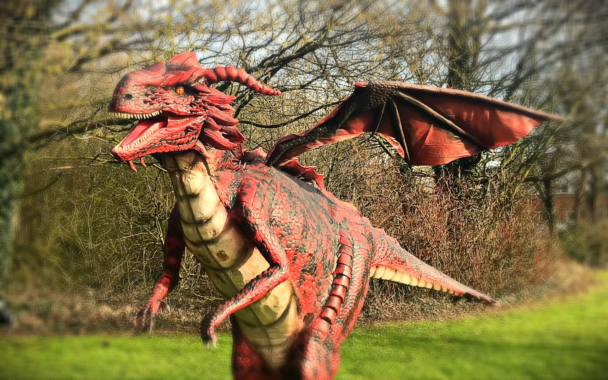 Deygo dragon
