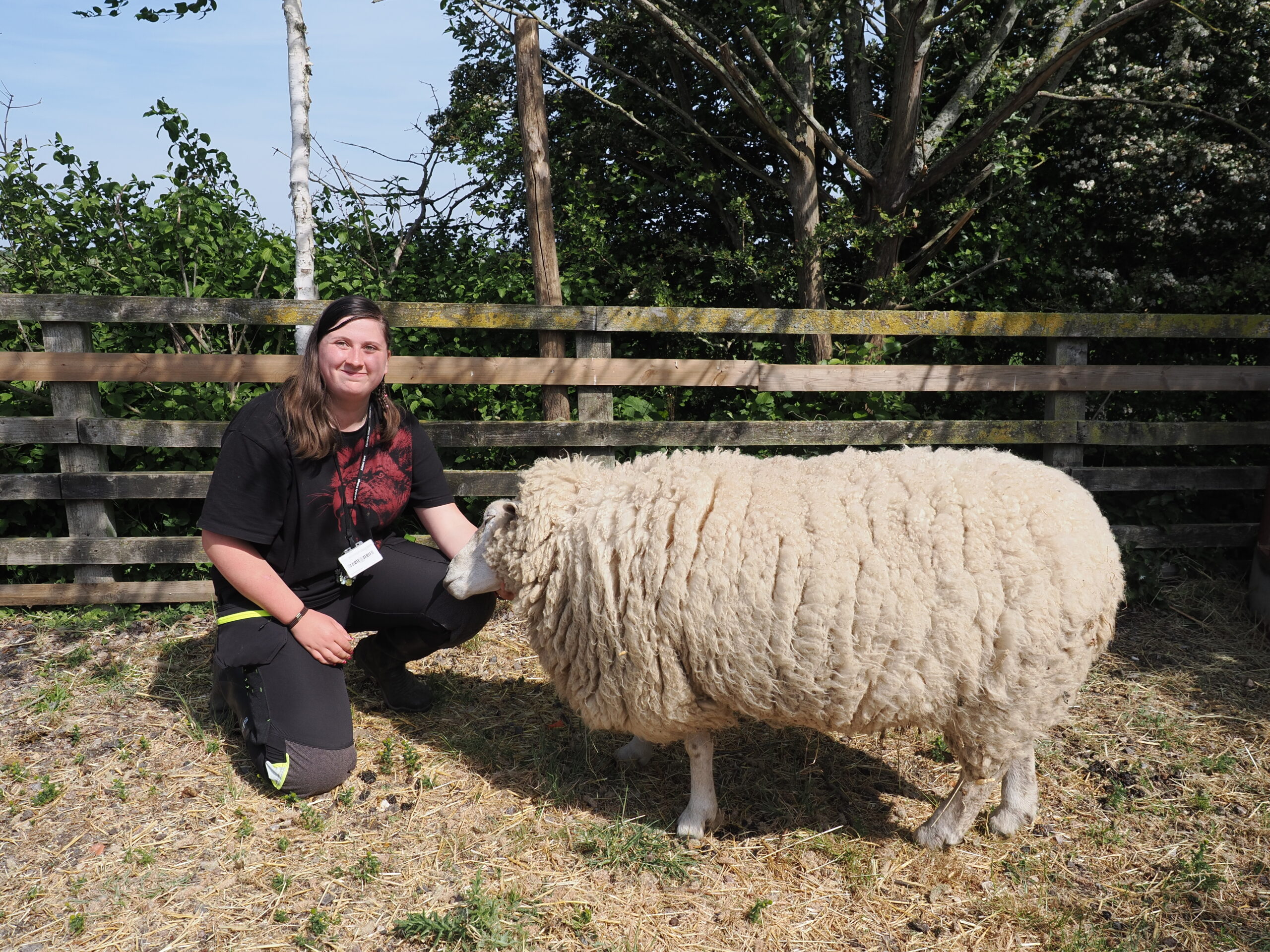 Oaklands College Lambing Weekend. Photo: John Andrews