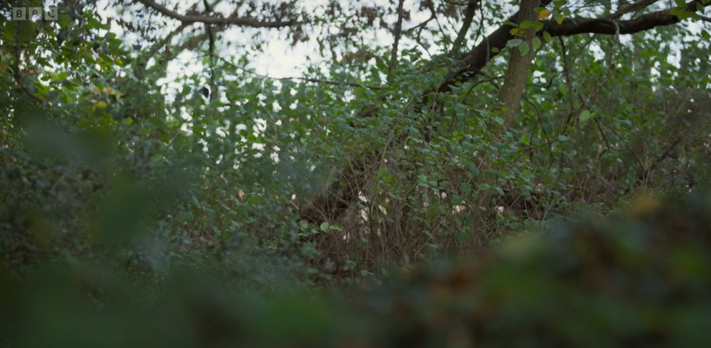 The scene of the attacks