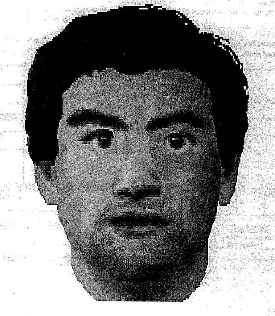 The e-fit of the suspect