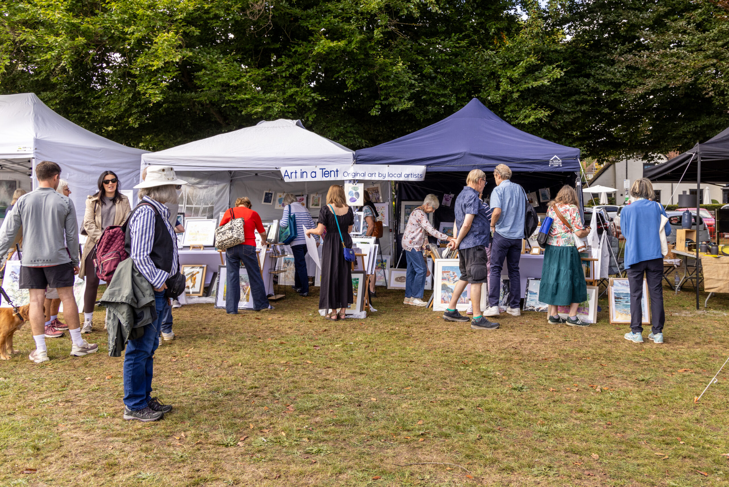 Art on the Common. Photo: Steve Collins