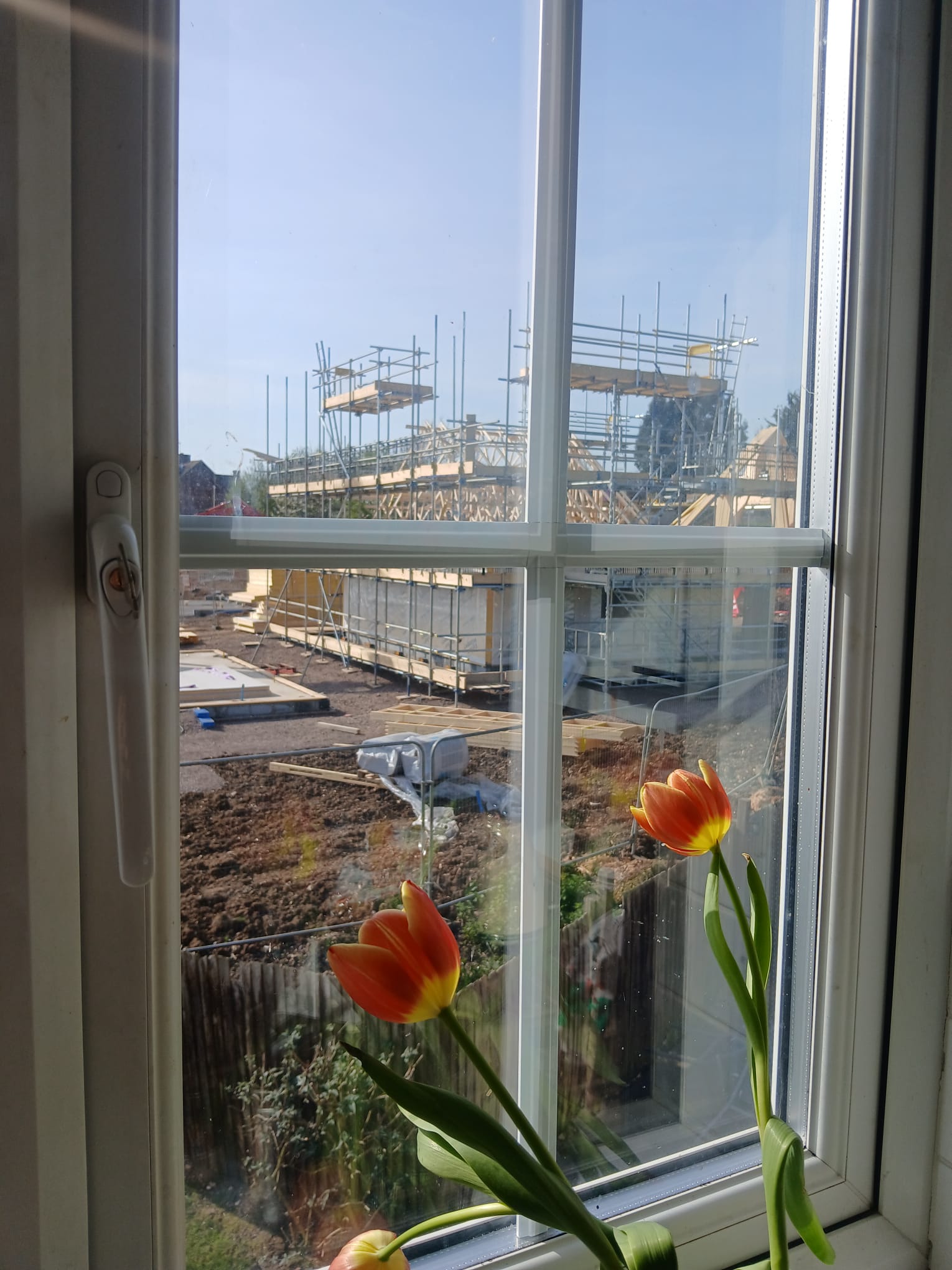 A view of the Taylor Wimpey development from a neighbour's back window.