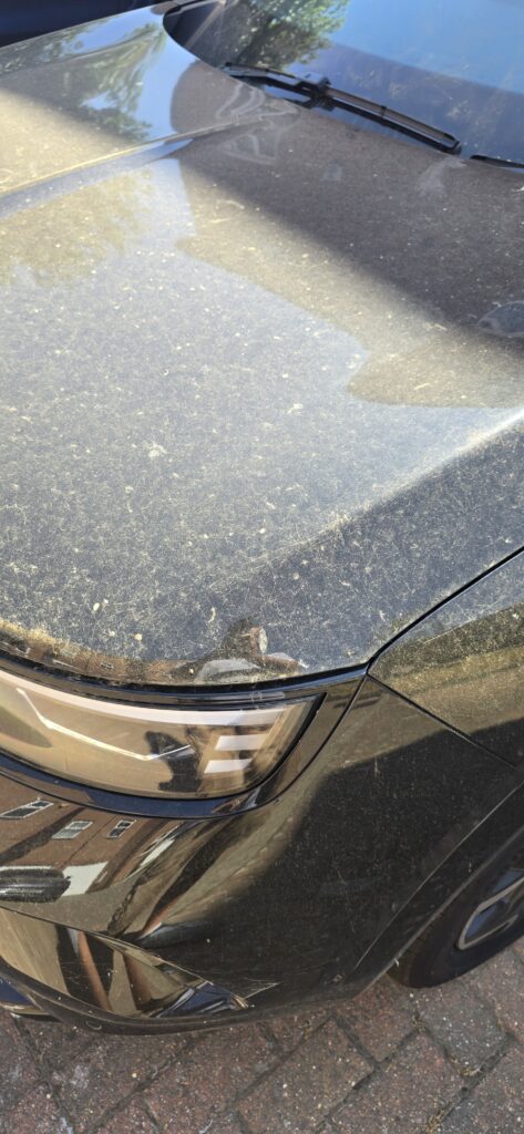 Dust from the rail freight development can be found on cars in Frogmore and Park Street.