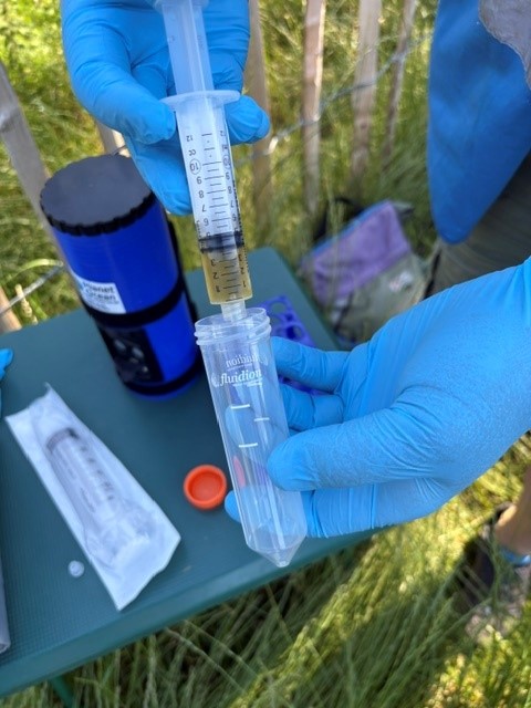 An E coli test at the River Ver