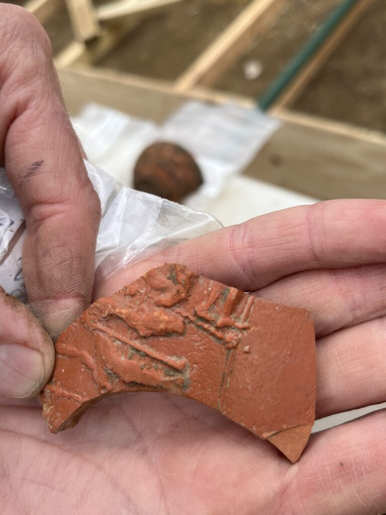 Decorated samian fragment from a bowl. These were thrown in pottery moulds, the inner surfaces of which had been decorated with the design on the inside of the mould. Samian pottery was not glazed; its glossy appearance is due to the presence of particular minerals found in veins of clay in France and Spain. Samian vessels usually include the name of the factory owner pressed into the centre of the vessel interior. These have been extensively studied and as a result vessels with stamps can be dated quite accurately.