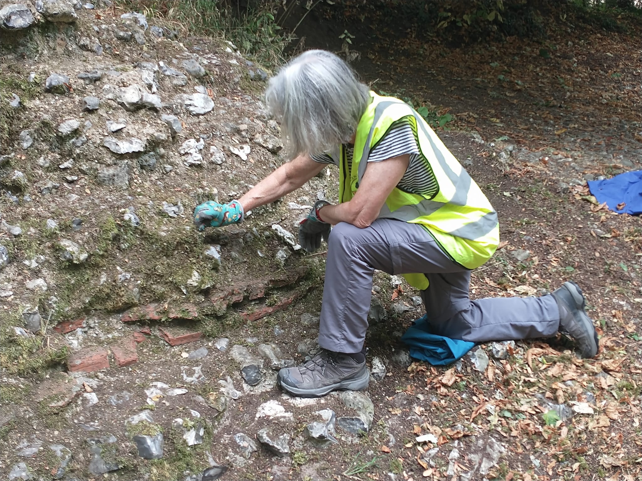 Friends of Verulamiun Park clearing the Roman wall