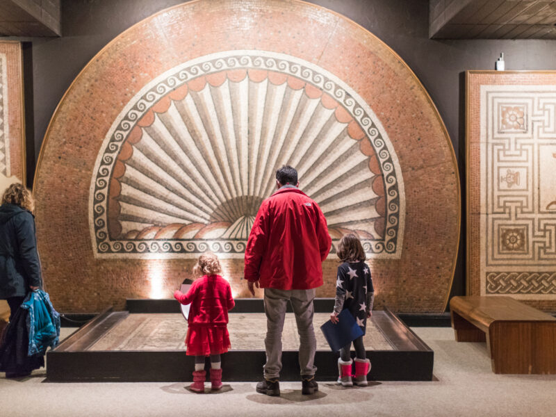 Verulamium Museum. Photo: Cecelina Tomberg