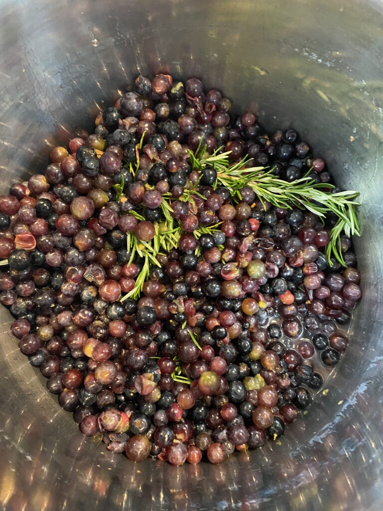 Grape and rosemary jelly pot