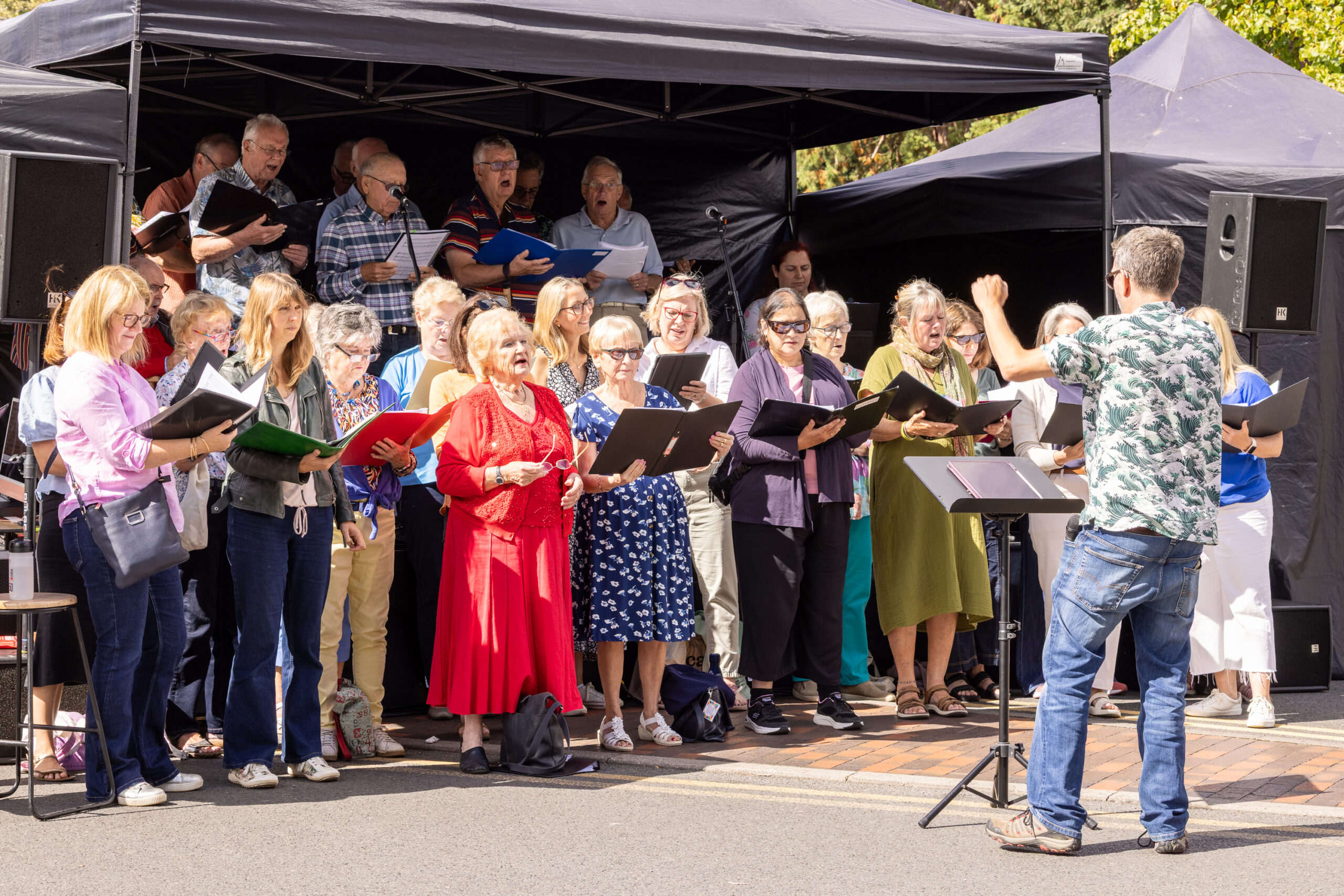 Harpenden Festival. Photo by Steve Collins