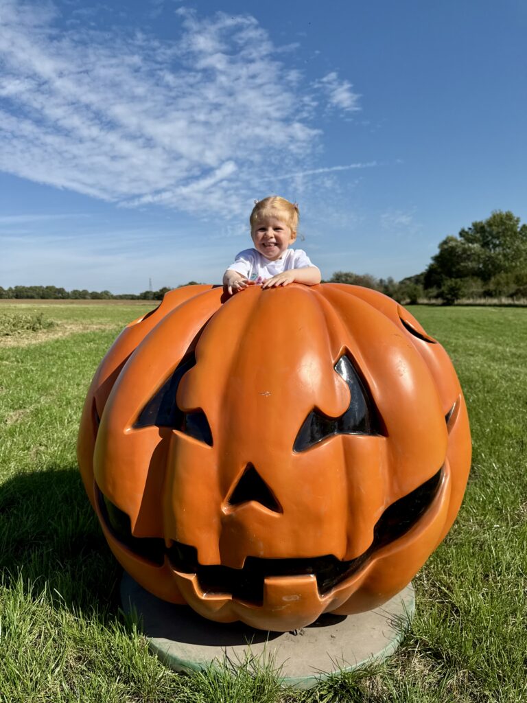 Willows Farm Pumpkin Festival