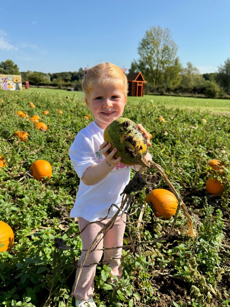Willows Farm Pumpkin Festival
