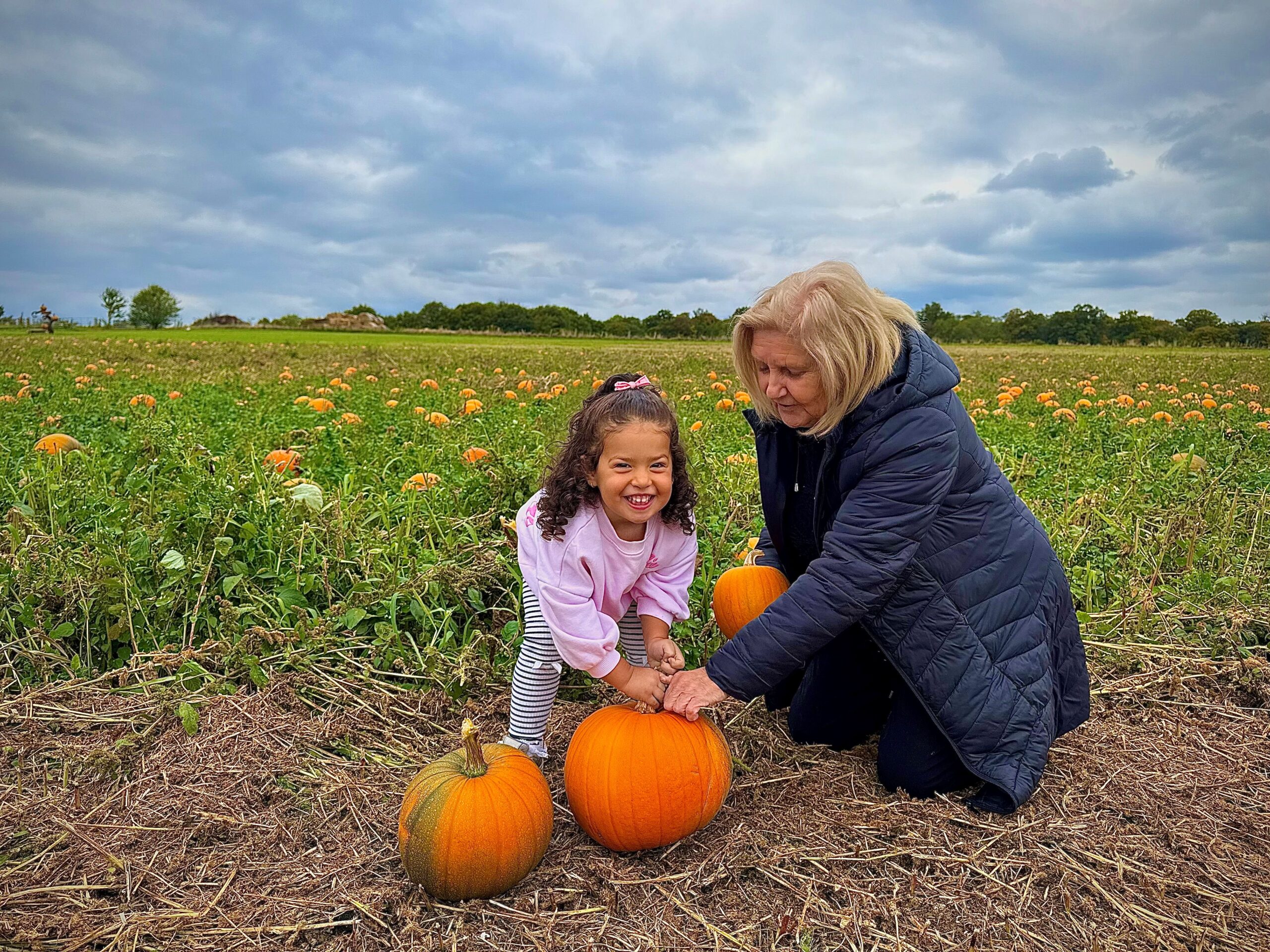 Willows Farm Pumpkin Festival