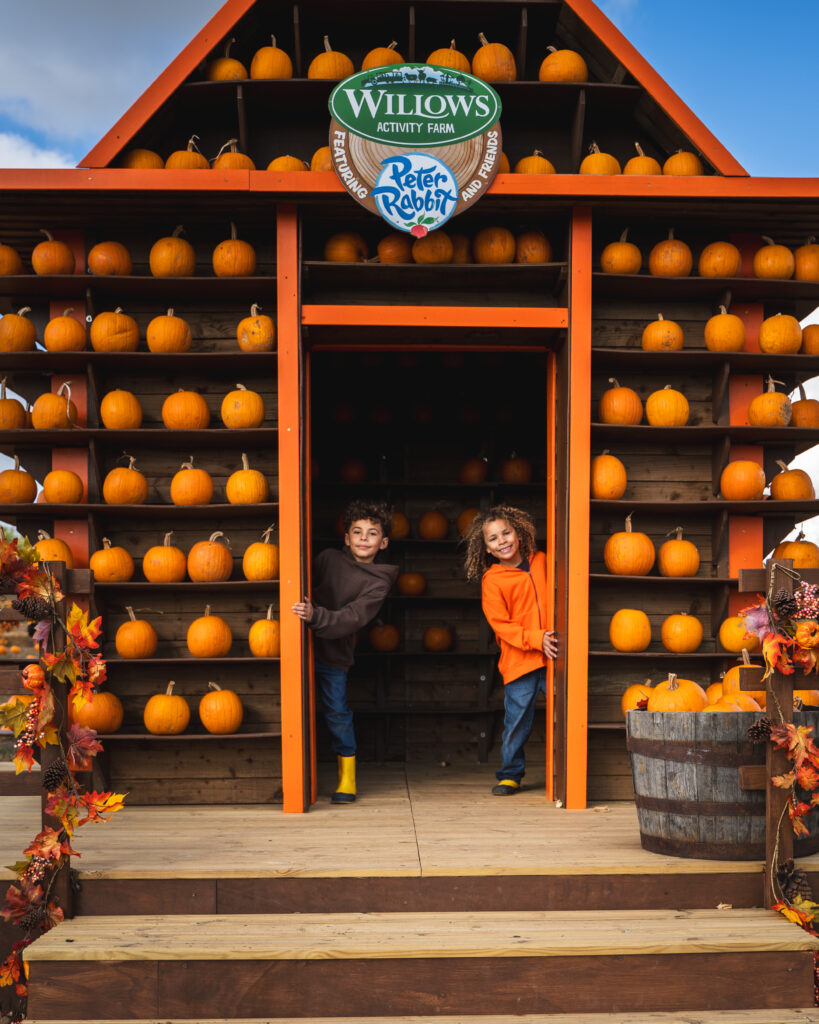 Lucas, aged six and Mateo, aged eight have fun at the Willows’ Pumpkin Festival