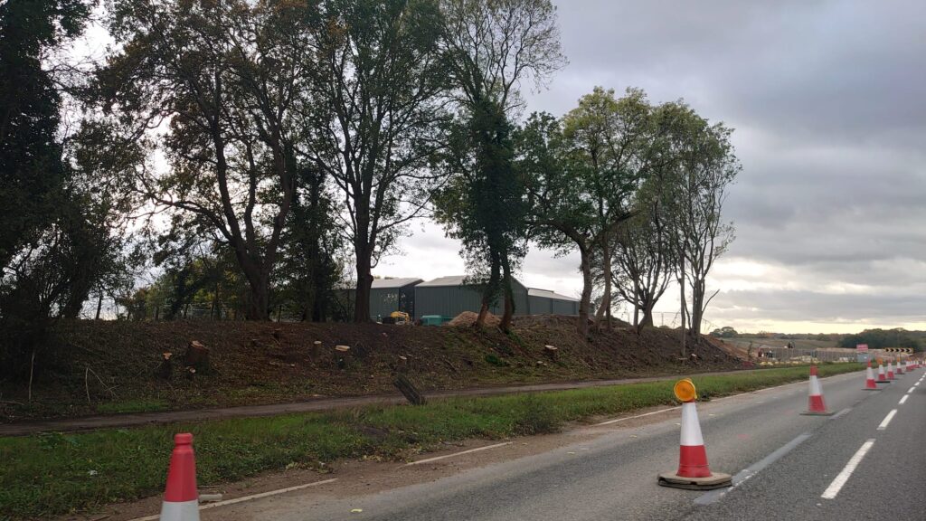 These scenes of devastation have replaced the long stretch of mature trees which HCC has cut down.