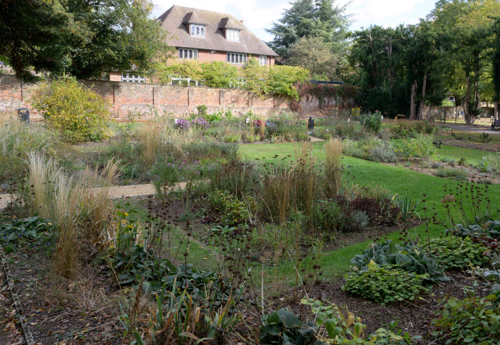 Civic Rose Garden