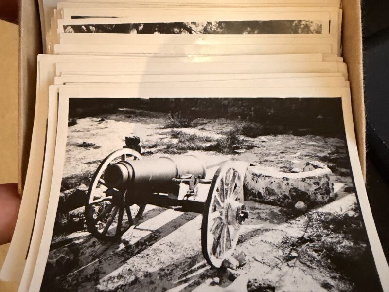 The Davies archive photos