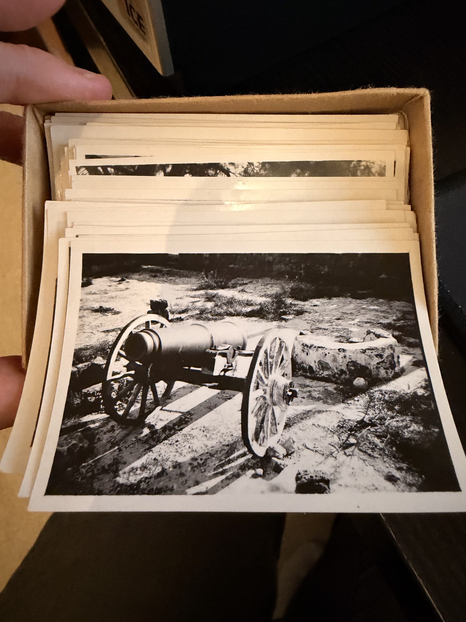 The Davies archive photos