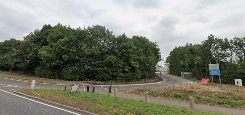 A Google image of the trees before they were destroyed.