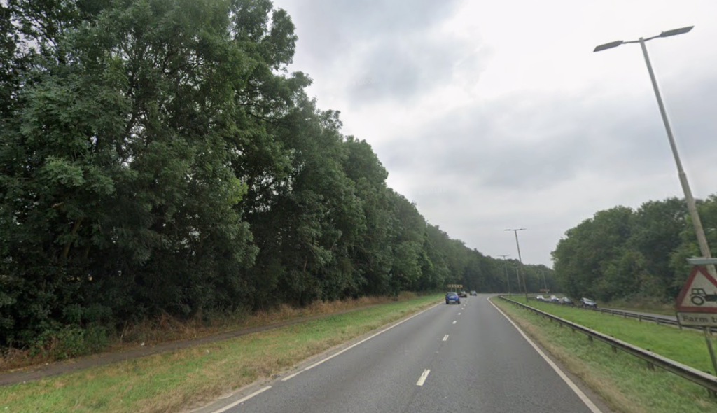A Google image of the trees before they were destroyed.